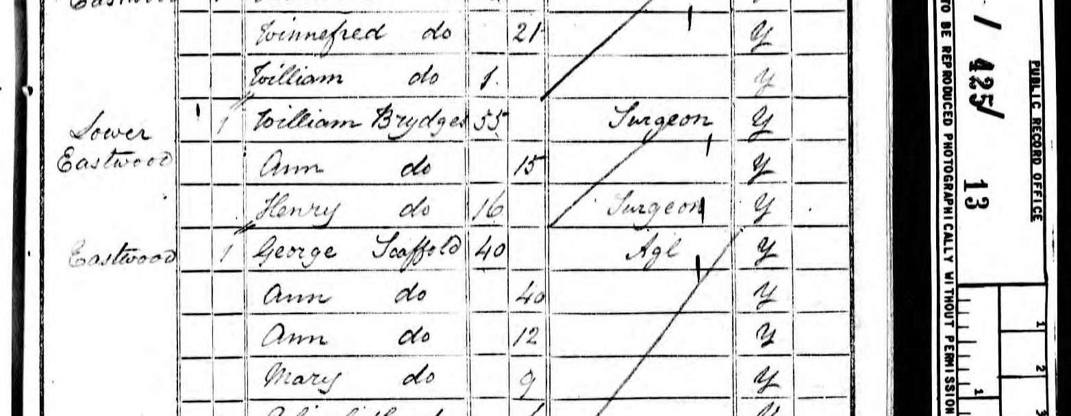 Extract of the 1841 census, Tarrington: William Brydges, surgeon, at Lower Eastwood, with Ann, 15, and Henry, 16, also styled surgeon