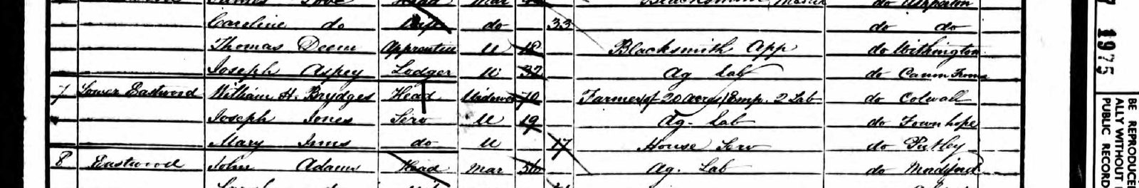 Extract of the 1851 census, Tarrington: William H. Brydges, widower, farmer of 20 acres, born Colwall, at Lower Eastwood